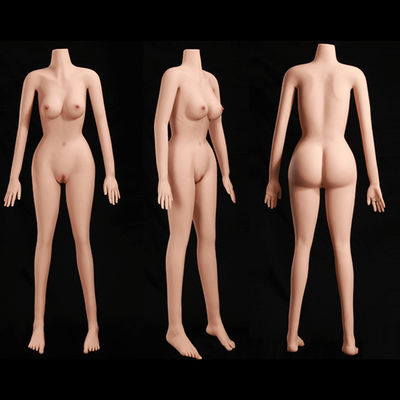 satın al Kişiselleştirilebilir Kablolu Seks Bebek Vücudu 158cm Yükseklikte, İnce Vücut Şekli Ve Küçük Göğüsler- Elastik Yumuşak Cilt Çevrimiçi üretim